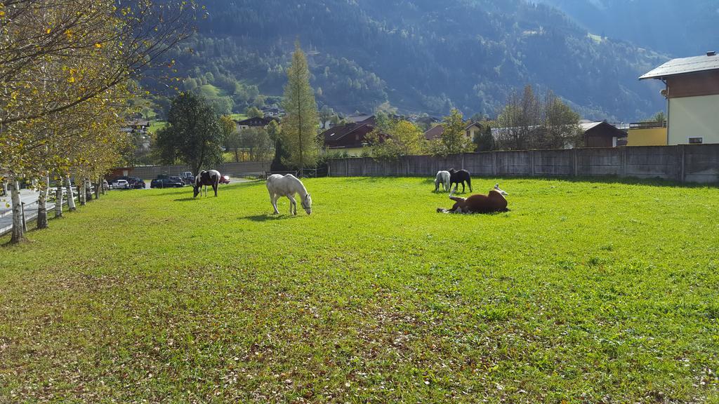 Ferienwohnung Haus Habetseder Dorfgastein Exterior foto